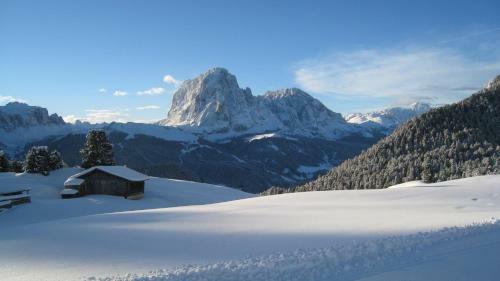 Apartments Dolomie