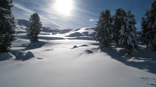 Apartments Dolomie