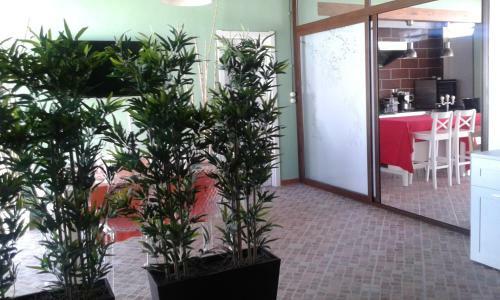 Bed & Breakfast Apollonion Country House