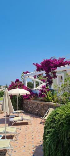 Hotel Albatros