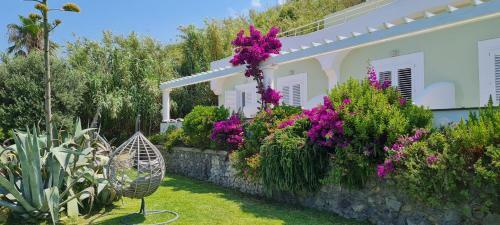Hotel Albatros