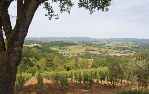 Sanlucchese 4