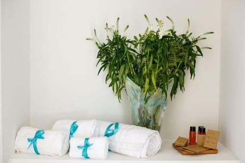Hostal Villa Don Camillo