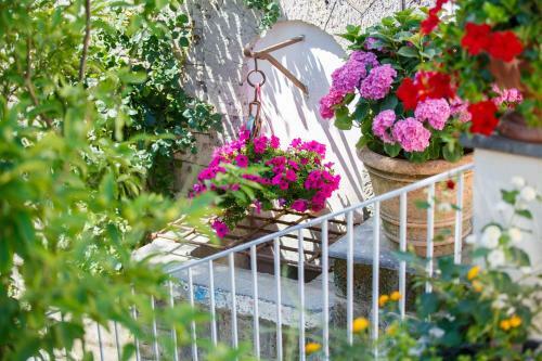 Hostal Villa Don Camillo
