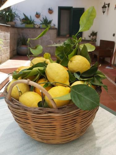Bed & Breakfast Sos�