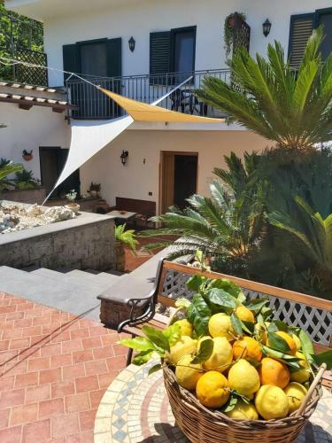 Bed & Breakfast Sos�