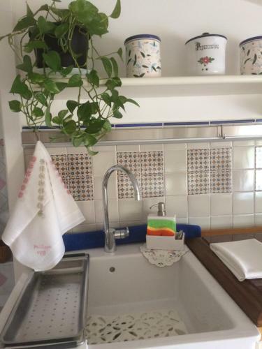 Apartamento Maison Rose