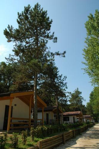 Camping Laguna Village