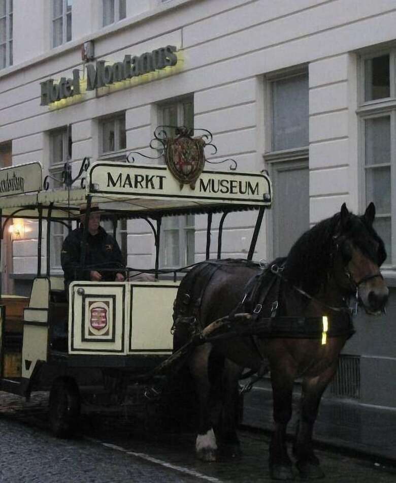 Hotel Montanus