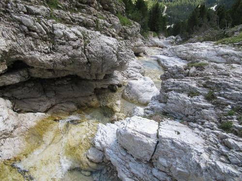 Apartamento Chalet Orchidea