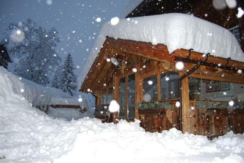 Apartamento Chalet Orchidea