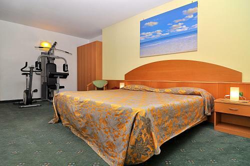 Hotel Ascot Lodging