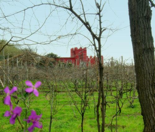 Hotel Albergo 'la Vigna'