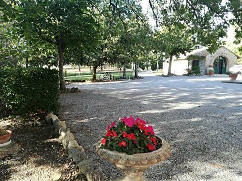 Agroturismo Agriturismo La Manonera