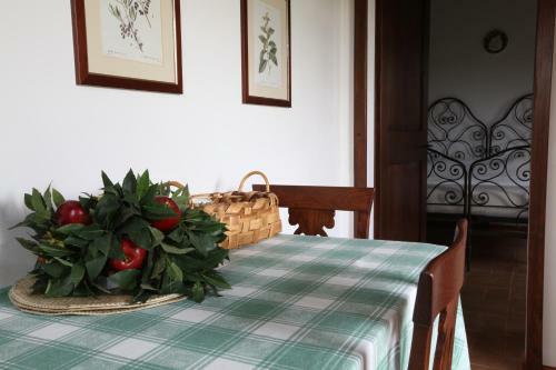 Agroturismo Agriturismo San Gallo