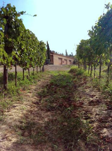 Agroturismo Agriturismo San Gallo