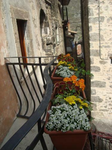 La Casa Dei Nonni B&B