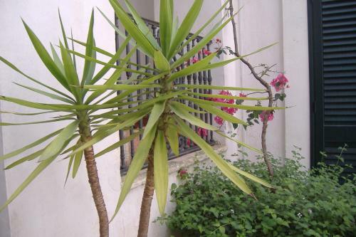 Bed & Breakfast Corte S. Angelo
