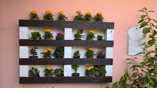 Hotel Alla Campagna - The Chocolate & Flowers Hotel