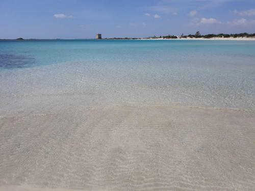 Bed & Breakfast Il Salentino