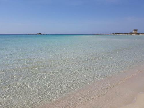 Bed & Breakfast Il Salentino