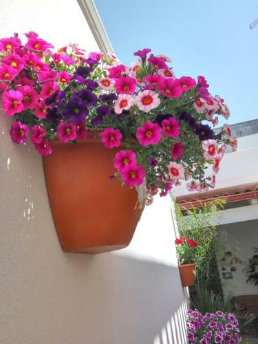 Hostal Corter� Guest House