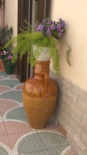 Hostal Corter� Guest House