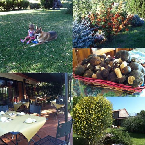 Agroturismo Agriturismo Poggio Cucco