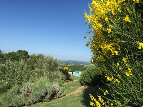 Agroturismo Agriturismo Poggio Cucco
