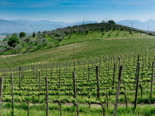 Albergue Ostello Diffuso Turriscollis