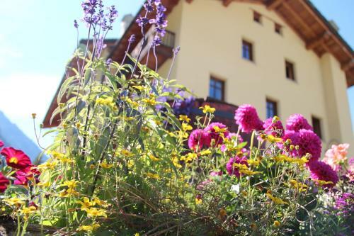 Hotel Lyshaus