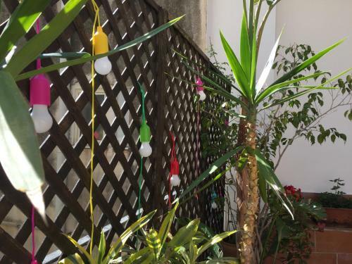 Apartamento Casa Felice