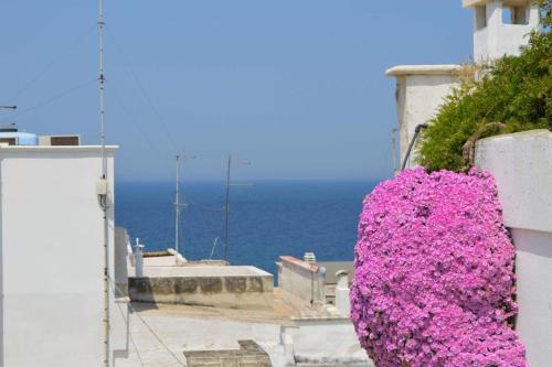 Apartamento Dimora Dorothy
