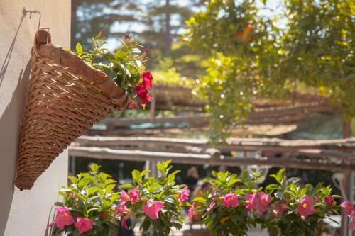 Mim� B&B