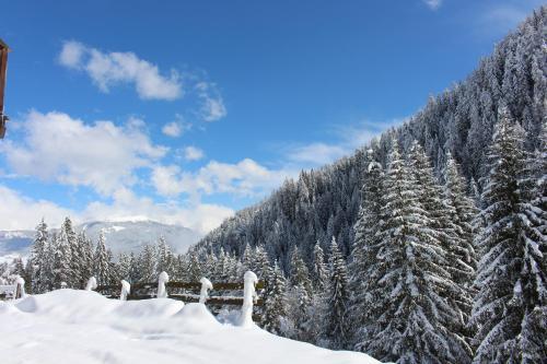 Apartamento Bad Bergfallerhof