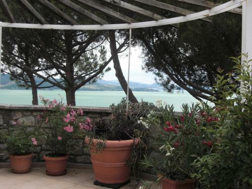 Apartamento Elio E Dony