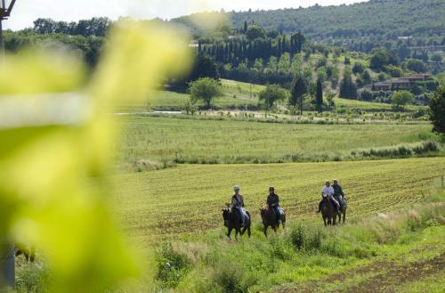 Agroturismo Colleverde Country House