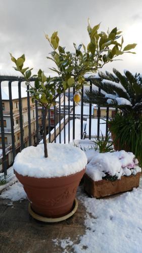 Cartoline Dall'etna B&B