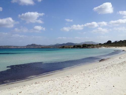 Luxury Apartment Sardegna