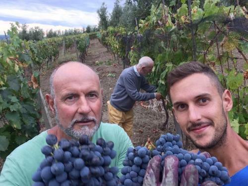 Agroturismo Agriturismo Villa Dauphin�