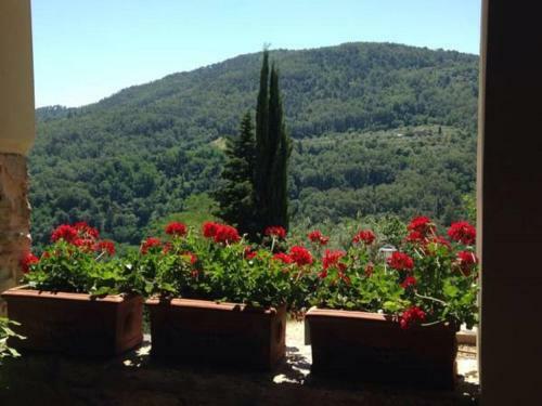Agroturismo Agriturismo Villa Dauphin�