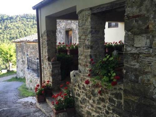 Agroturismo Agriturismo Villa Dauphin�