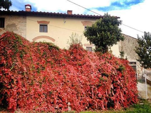 Agroturismo Agriturismo Villa Dauphin�
