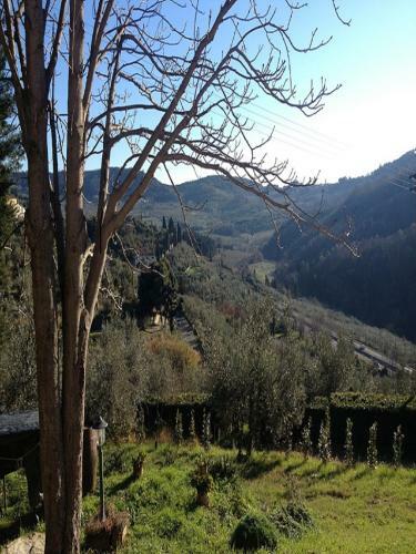 Agroturismo Agriturismo Villa Dauphin�