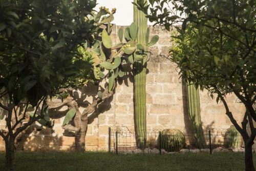 Bed & Breakfast Palazzo Morisco