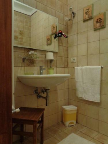 Hostal Affittacamere La Camelia