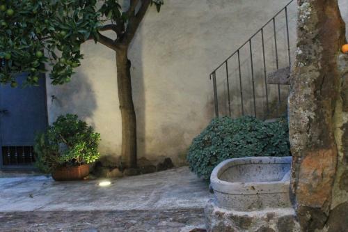 La Corte Dei Limoni