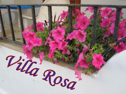 Hostal Villa Rosa