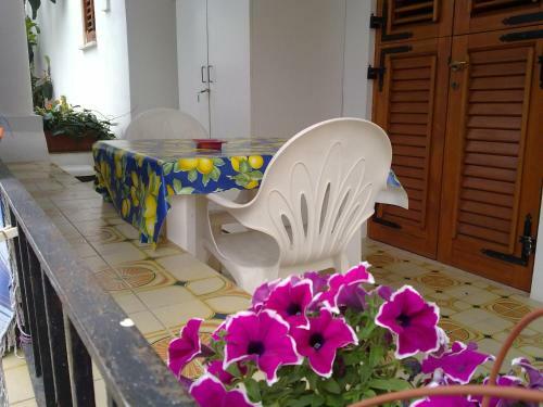 Hostal Villa Rosa