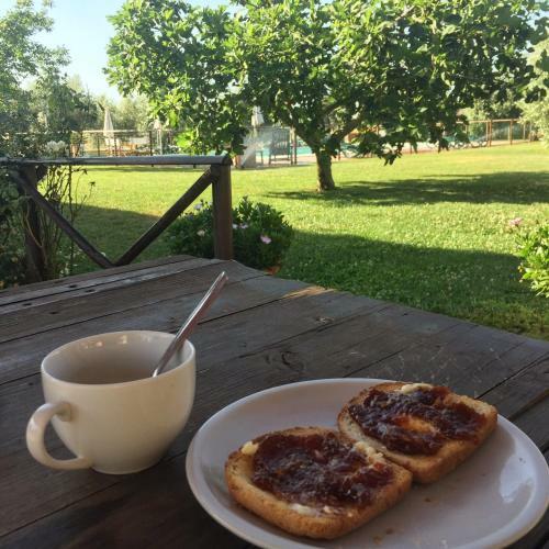 Agroturismo Agriturismo Il Puntoncino
